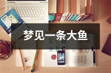 <h3>梦见一条大鱼