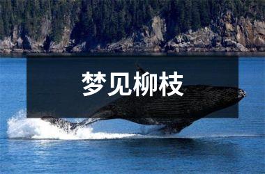 <h3>梦见柳枝