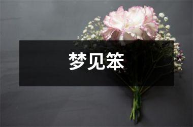 <h3>梦见笨