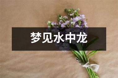 <h3>梦见水中龙