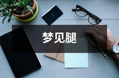 <h3>梦见腿