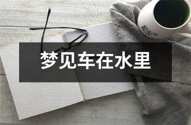 <h3>梦见车在水里