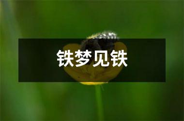 <h3>铁梦见铁