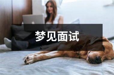 <h3>梦见面试
