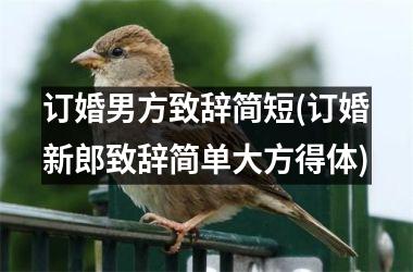 <h3>订婚男方致辞简短(订婚新郎致辞简单大方得体)