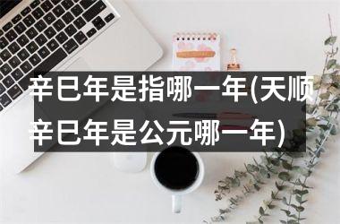 <h3>辛巳年是指哪一年(天顺辛巳年是公元哪一年)