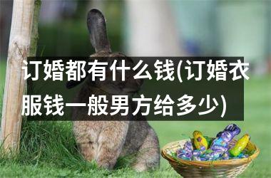 <h3>订婚都有什么钱(订婚衣服钱一般男方给多少)