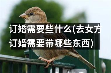 <h3>订婚需要些什么(去女方订婚需要带哪些东西)