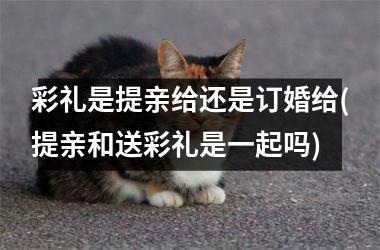 彩礼是提亲给还是订婚给(提亲和送彩礼是一起吗)