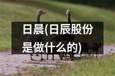 <h3>日晨(日辰股份是做什么的)