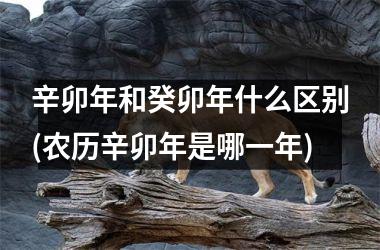 <h3>辛卯年和癸卯年什么区别(农历辛卯年是哪一年)