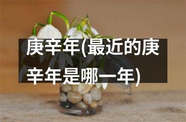 <h3>庚辛年(近的庚辛年是哪一年)