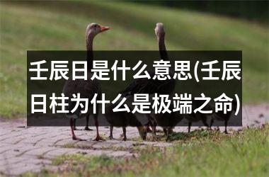 <h3>壬辰日是什么意思(壬辰日柱为什么是极端之命)