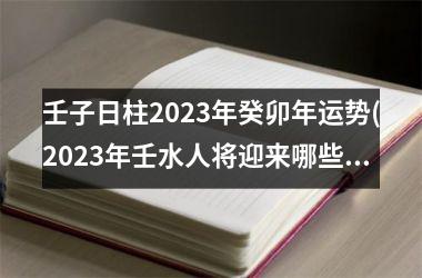 <h3>壬子日柱2025年癸卯年运势(2025年壬水人将迎来哪些好运)
