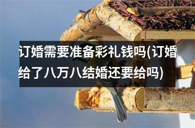 <h3>订婚需要准备彩礼钱吗(订婚给了八万八结婚还要给吗)