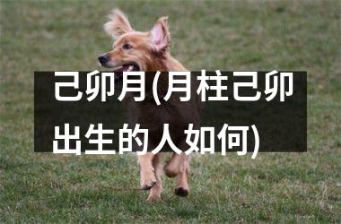 <h3>己卯月(月柱己卯出生的人如何)