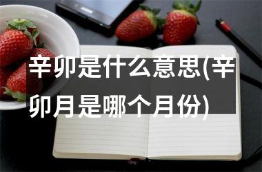 <h3>辛卯是什么意思(辛卯月是哪个月份)