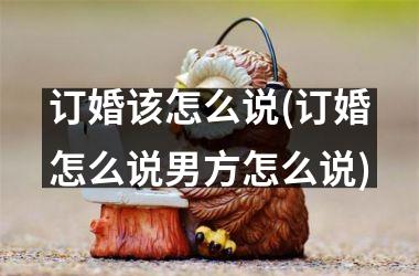 <h3>订婚该怎么说(订婚怎么说男方怎么说)