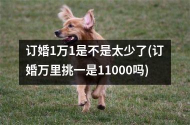 <h3>订婚1万1是不是太少了(订婚万里挑一是11000吗)