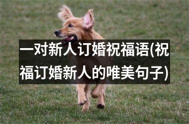 <h3>一对新人订婚祝福语(祝福订婚新人的唯美句子)