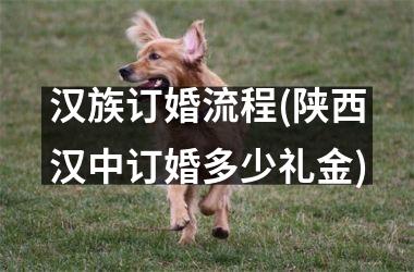 <h3>汉族订婚流程(陕西汉中订婚多少礼金)