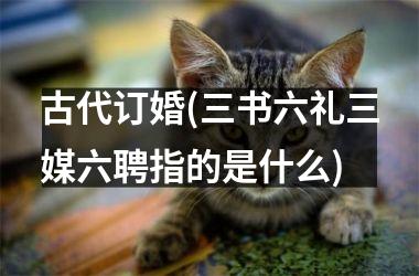 <h3>古代订婚(三书六礼三媒六聘指的是什么)