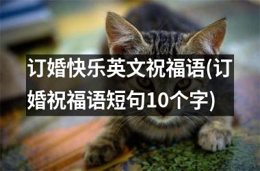 <h3>订婚快乐英文祝福语(订婚祝福语短句10个字)