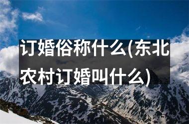 <h3>订婚俗称什么(东北农村订婚叫什么)