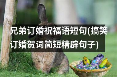 <h3>兄弟订婚祝福语短句(搞笑订婚贺词简短精辟句子)