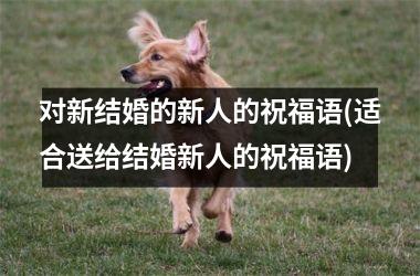 <h3>对新结婚的新人的祝福语(适合送给结婚新人的祝福语)