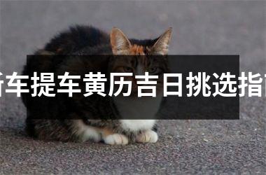 新车提车黄历吉日挑选指南