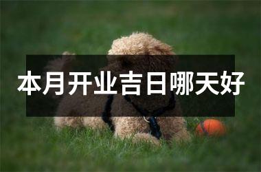 <h3>本月开业吉日哪天好