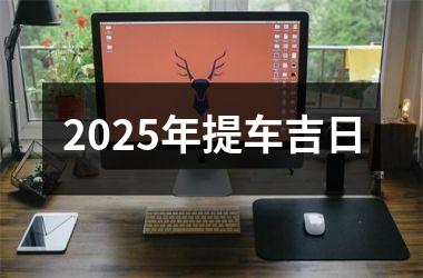 <h3>2025年提车吉日