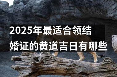 <h3>2025年最适合领结婚证的黄道吉日有哪些