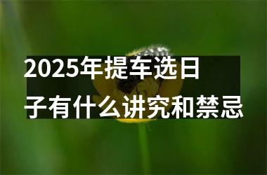 <h3>2025年提车选日子有什么讲究和禁忌