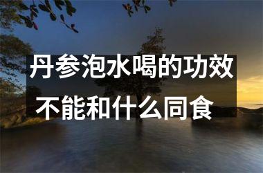 <h3>丹参泡水喝的功效 不能和什么同食