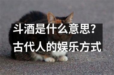 <h3>斗酒是什么意思？古代人的娱乐方式