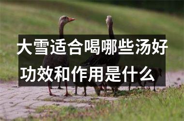 <h3>大雪适合喝哪些汤好 功效和作用是什么