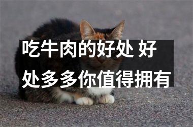 吃牛肉的好处 好处多多你值得拥有