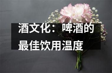 酒文化：啤酒的佳饮用温度