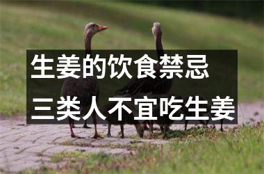 生姜的饮食禁忌 三类人不宜吃生姜