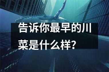 告诉你早的川菜是什么样？