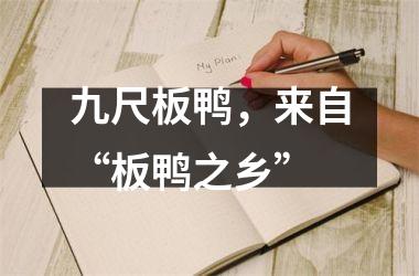 九尺板鸭，来自“板鸭之乡”