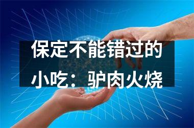 <h3>保定不能错过的小吃：驴肉火烧