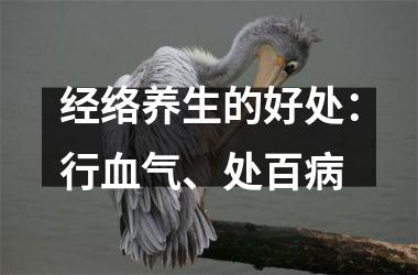 <h3>经络养生的好处：行血气、处百病