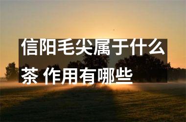 信阳毛尖属于什么茶 作用有哪些