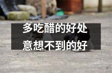 多吃醋的好处 意想不到的好