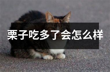 栗子吃多了会怎么样