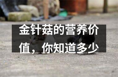 金针菇的营养价值，你知道多少