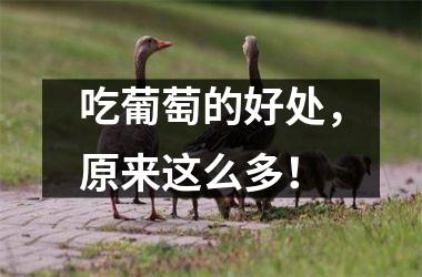 吃葡萄的好处，原来这么多！